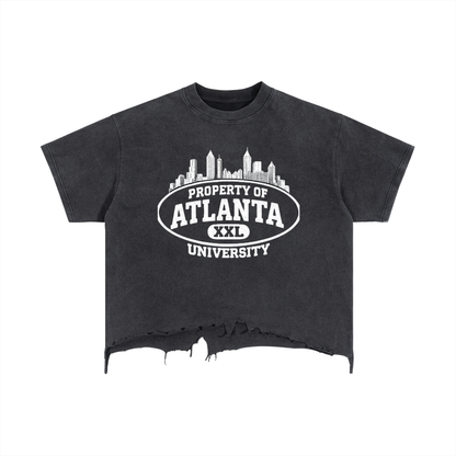 ATLANTA UNIVERSITY T-Shirt