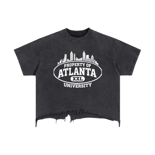 ATLANTA UNIVERSITY T-Shirt